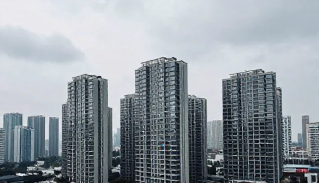 管理软件适配方案的适用情况与性能限制